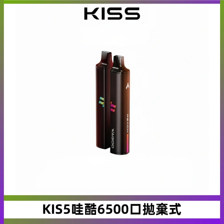 KIS5哇酷6500口拋棄式 KIS5哇酷6500口拋棄式 | 自由混搭雙口味 | 雙芯組合